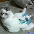 Аватара пользователя