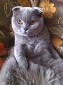 Вот наш пассажир.)