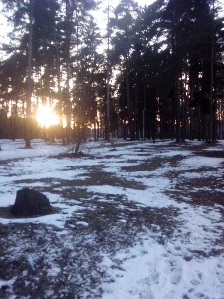 IMG_20140405_192656 (450 x 600).jpg