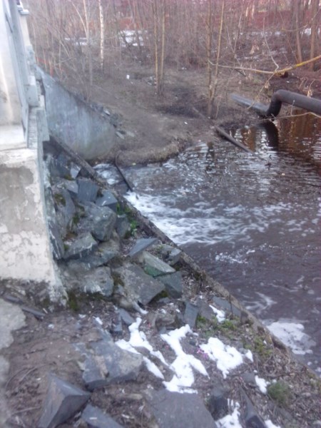 IMG_20140405_193022 (450 x 600).jpg
