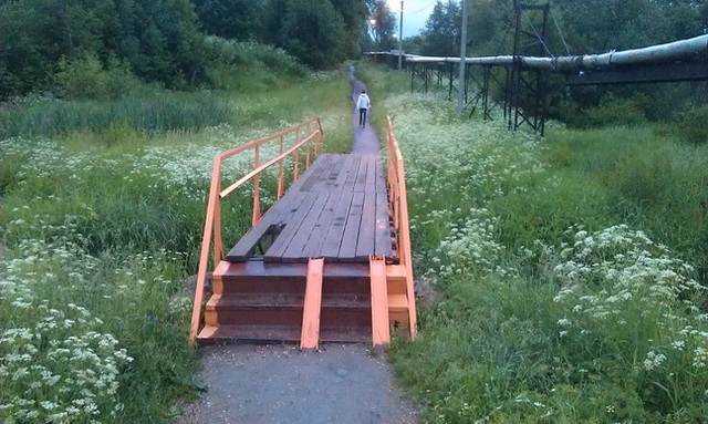 IMAG1017.jpg