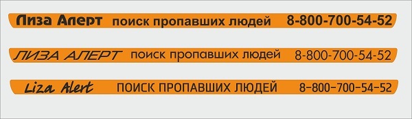 Лиза Алерт 1.jpg