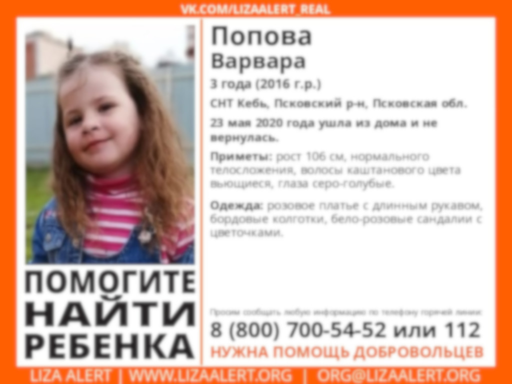 Поиски пропавшей в Псковской области трехлетней Вари продолжаются…