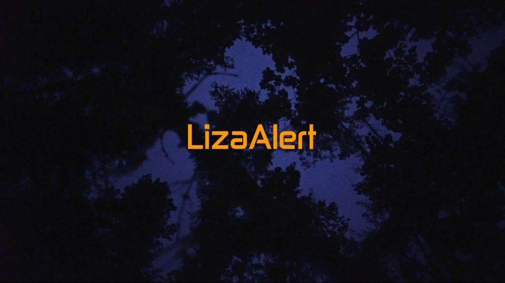 Премьера сериала “Неспокойные ночи. LizaAlert” уже скоро!